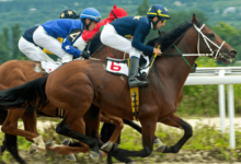 How do you handle pre-race nerves for both the horse and the jockey?