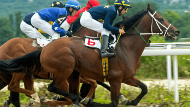 How do you handle pre-race nerves for both the horse and the jockey?