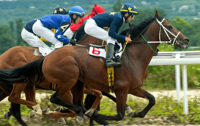 How do you handle pre-race nerves for both the horse and the jockey?