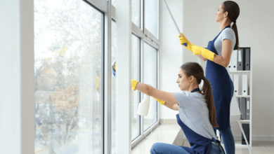 Window Cleaning Services for Sparkling Clean Windows