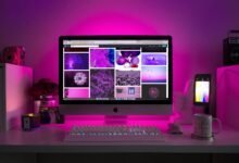 xpthamster s technical exploration revealed