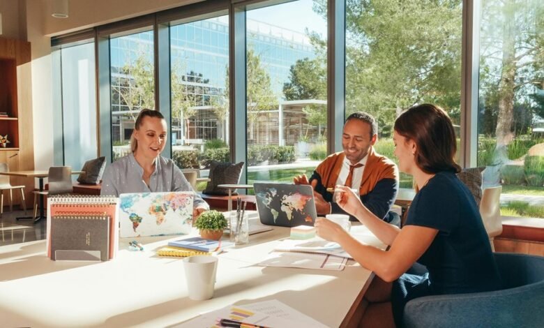 kashyeportazza ltd company updates