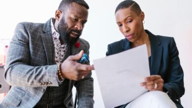 corporate review of entities