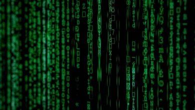 data inspection of records