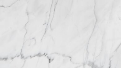 market analysis and trends