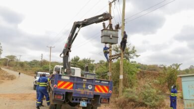 apex relay dock service