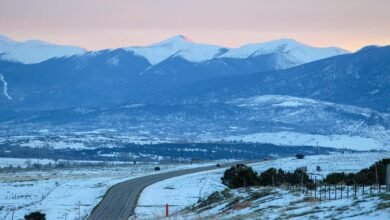 digital fusion crest 3394644120