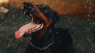 digital tracking and alerts